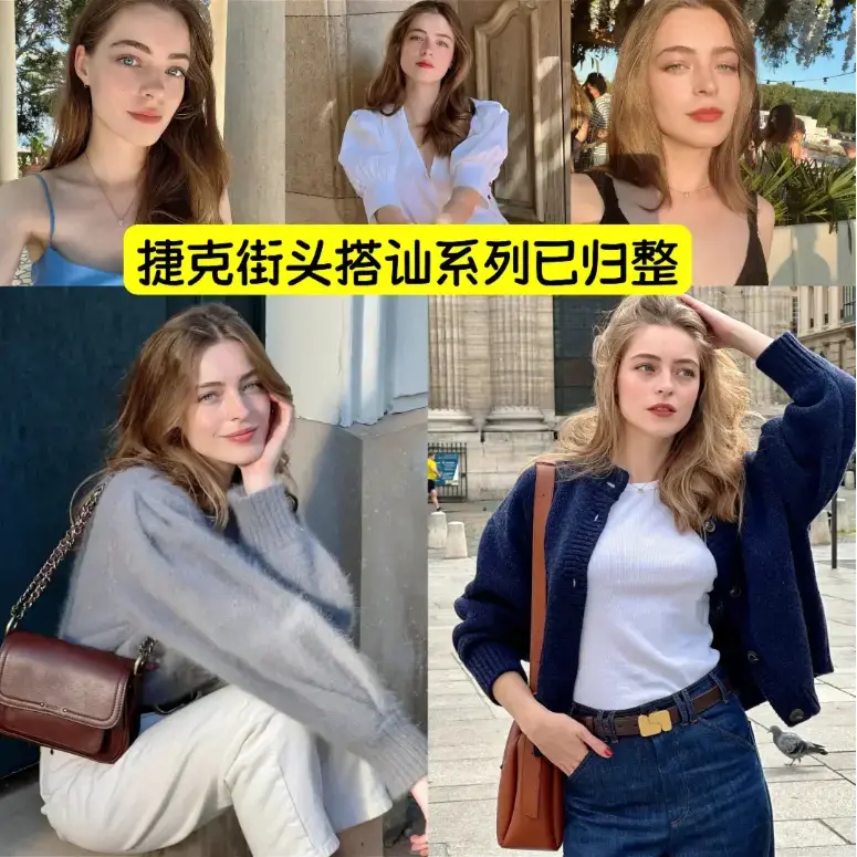 捷克街头系列1-100集全集HD高清中字完整版在线观看
