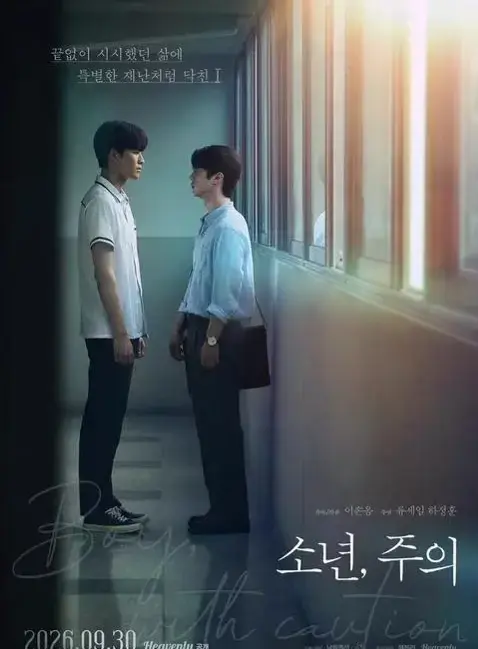 《少年，注意》2026韩剧完整未删减版中文免费在线看-《Boy, with Caution / 少年，注意》高清全集无广告网盘资源-双主角韩剧全集免费在线观看